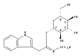 glucobrassicine