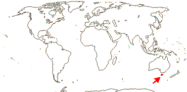 Tetracarpaeaceae