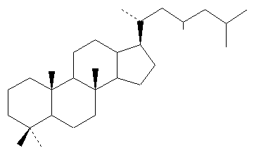triterpenoid base