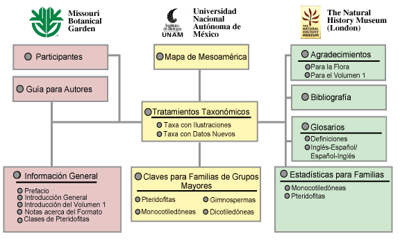 Image Map Guide to the Flora Mesoamericana Web Site