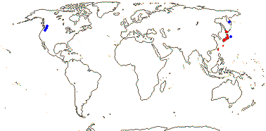 <i>Trochodendron</i>