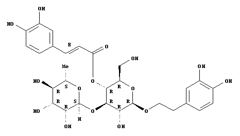 verbascoside