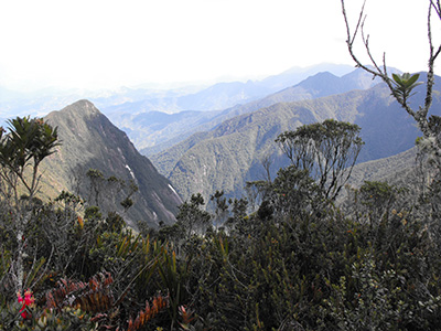 Farallones de Citará