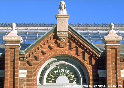 close-up image of Linnaen House busts