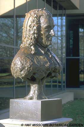 Three-quarthers view of the Bust of Linnaeus