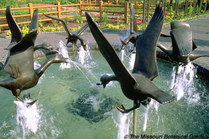 Image of Six Dancing Geese