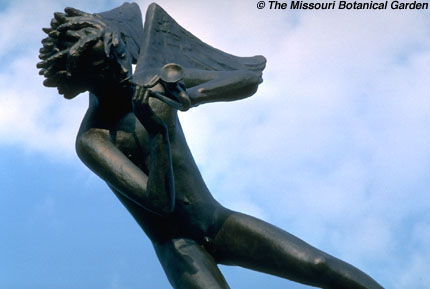 'Angel Musician with Horn' close-up 