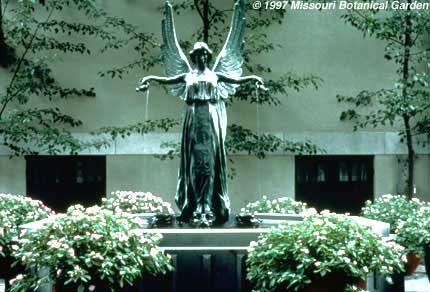 Image of Fountain Angel