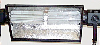 Interior of ScandleS