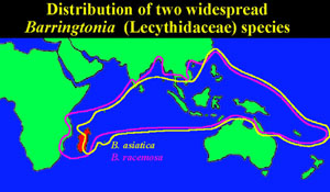 Distribution map