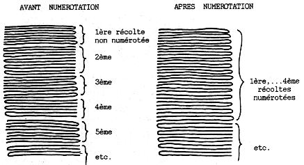 Numerotation