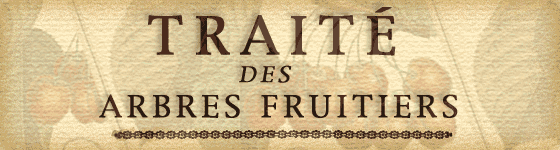 Henri-Louis Duhamel du Monceau - Traité des Arbres Fruitiers Tome II
