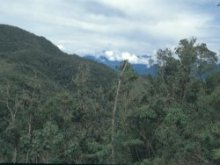 Landscape view along the road to San Alberto