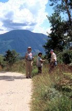 Henk, Rodolfo, and  Bruce collecting a Plukenetia