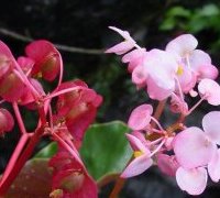 Click here to see the original picture