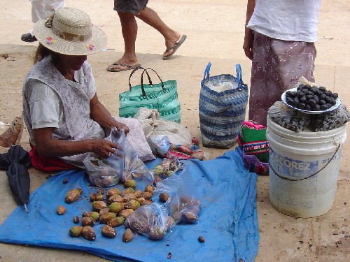 Venta de frutos de palmas en Rurrenabaque