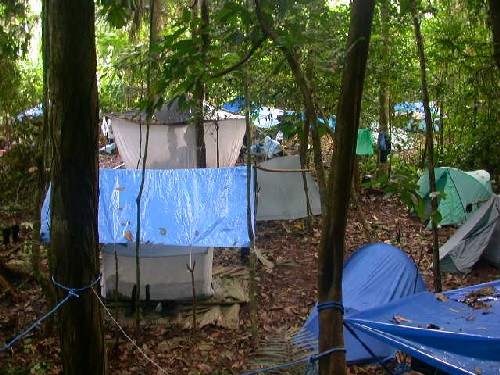 Campamento en la selva
