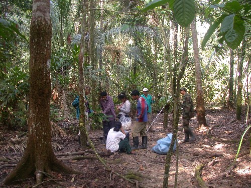 Evaluando parcela permanente