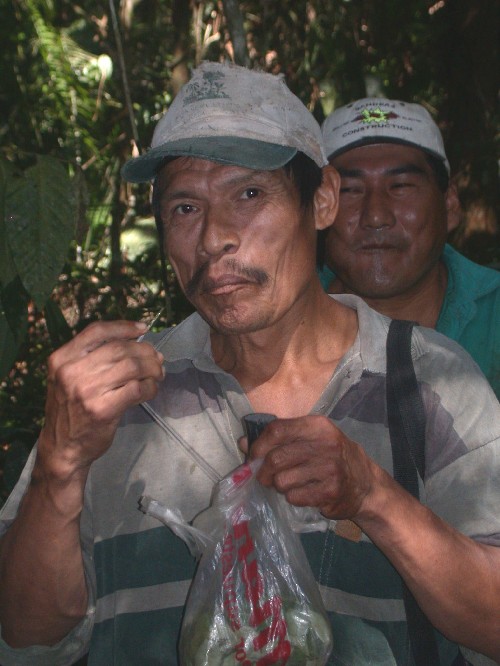 Mascando coca