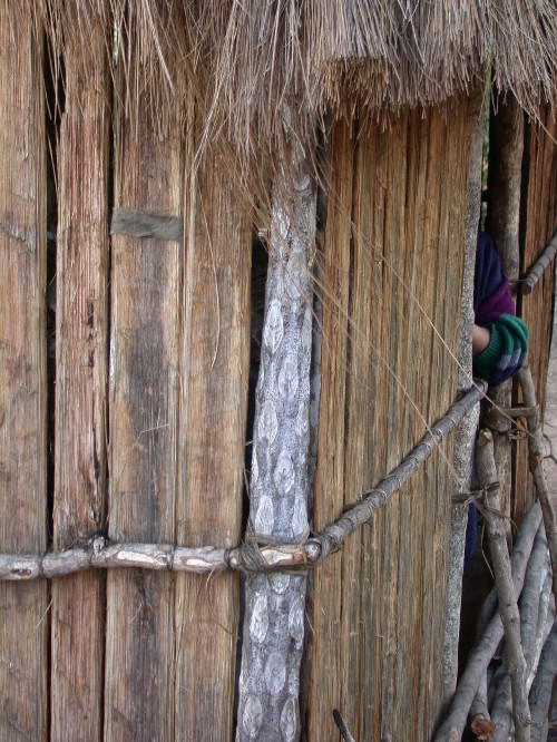 Casa construida con plantas locales