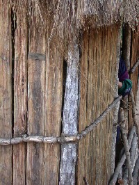 Casa construida con plantas locales