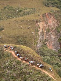 Caravana cerca de precipicio