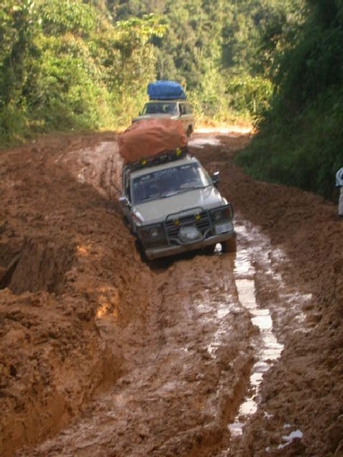 Carretera deteriorada en bosque montano pluvial