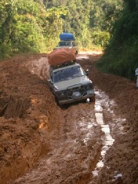 Carretera deteriorada en bosque montano pluvial