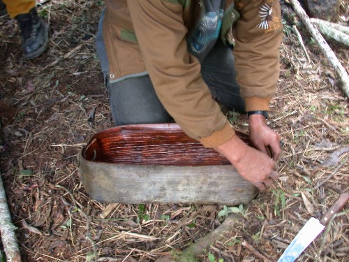 Fabricando recipiente con espata de palma