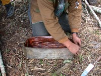 Fabricando recipiente con espata de palma