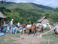 Preparando la carga para los caballos