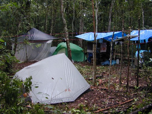 Campamento dentro el bosque seco