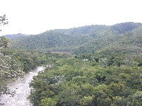Vista panoramica del bosque seco