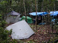 Campamento dentro el bosque seco