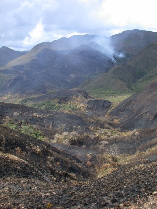 Incendios descontrolados