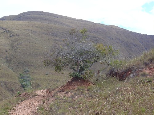 Sabanas de Apolo