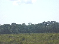 Transicion de pampas a bosques