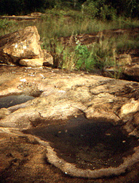 Rock pools