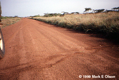 Traces of a lion kill