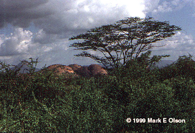 View of Mt. Holiligum Nder