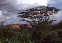 View of Mt. Holiligum Nder