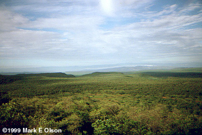 Rift Valley