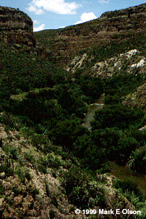 Tule River Gorge