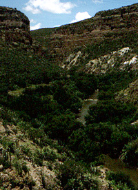 Tule River Gorge