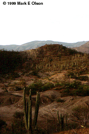 Tehuacn-Cuicatln Valley