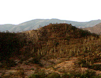 Tehuacn-Cuicatln Valley
