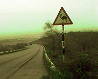 Camel crossing sign