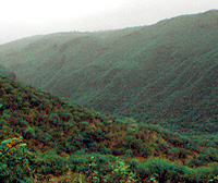 South-facing slopes