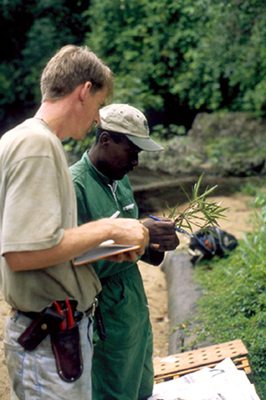 Field collaboration