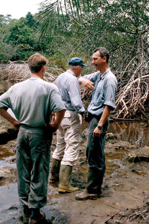 Field collaboration